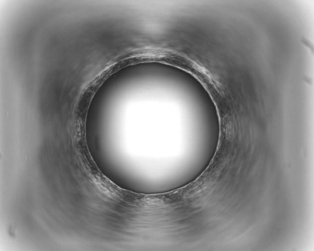 X0000093761448200710301135