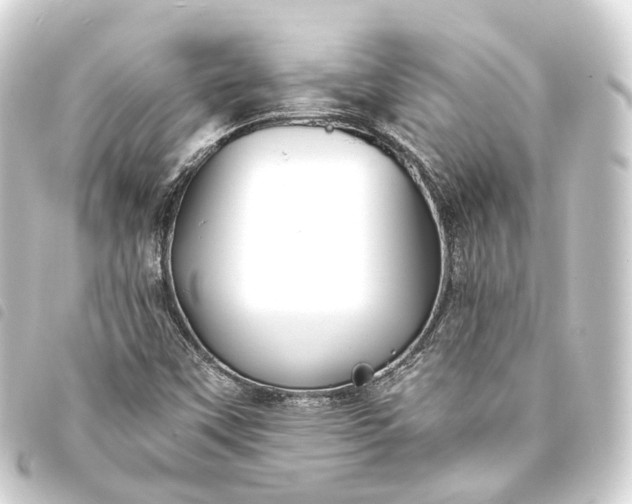 X0000093761451200710301135