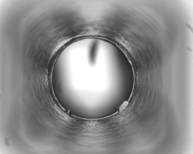 X0000093761452200710301135