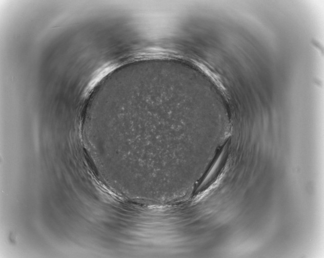 X0000093761453200710301135