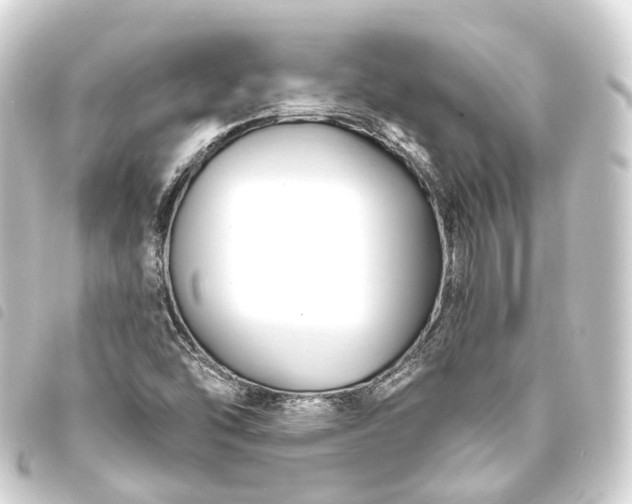 X0000093761454200710301135