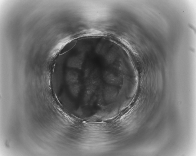 X0000093761455200710301135