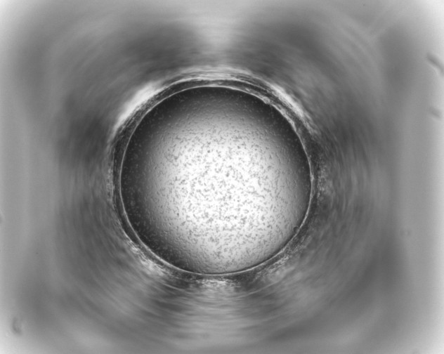 X0000093761456200710301135