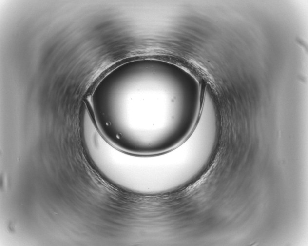 X0000093761457200710301135