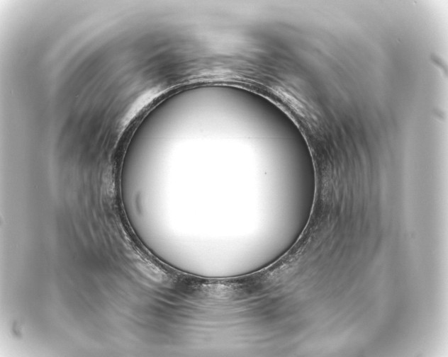 X0000093761458200710301135