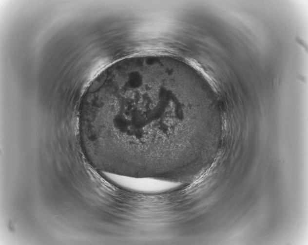 X0000093761459200710301135