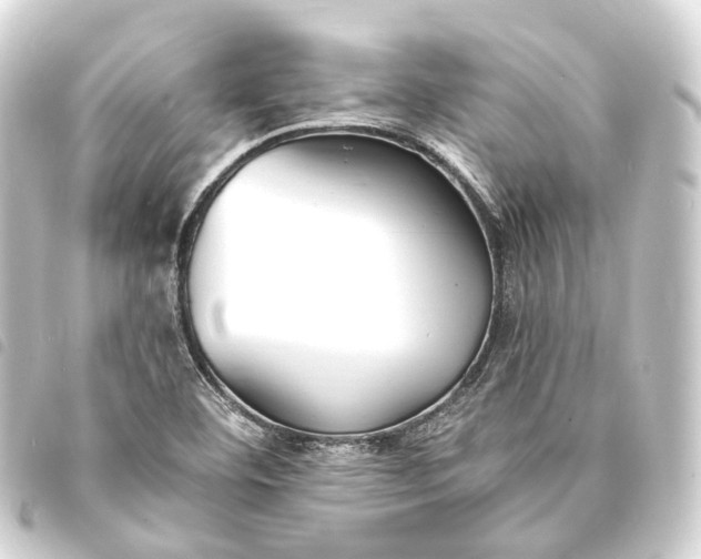 X0000093761460200710301134