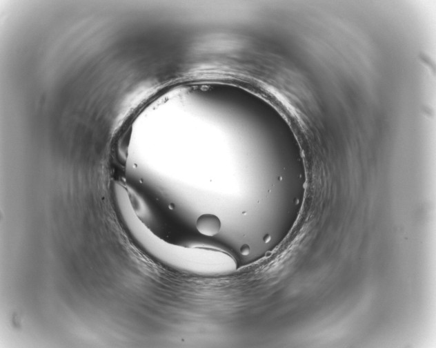 X0000093761461200710301134