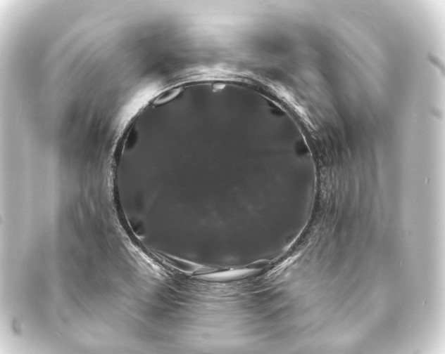 X0000093761463200710301134