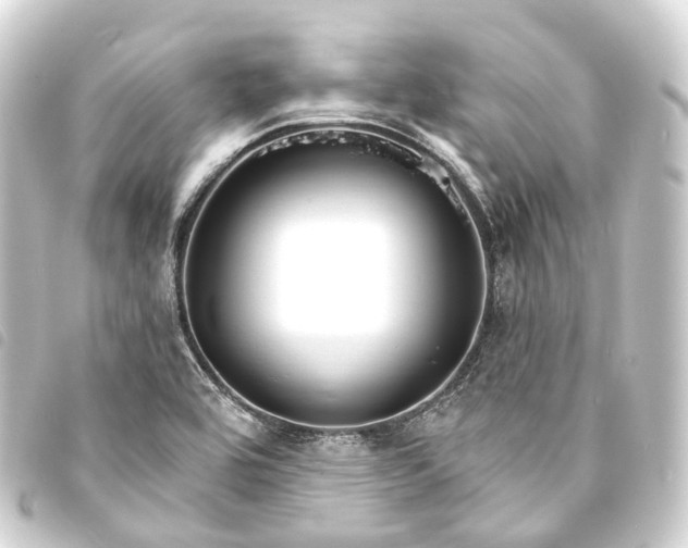 X0000093761464200710301134