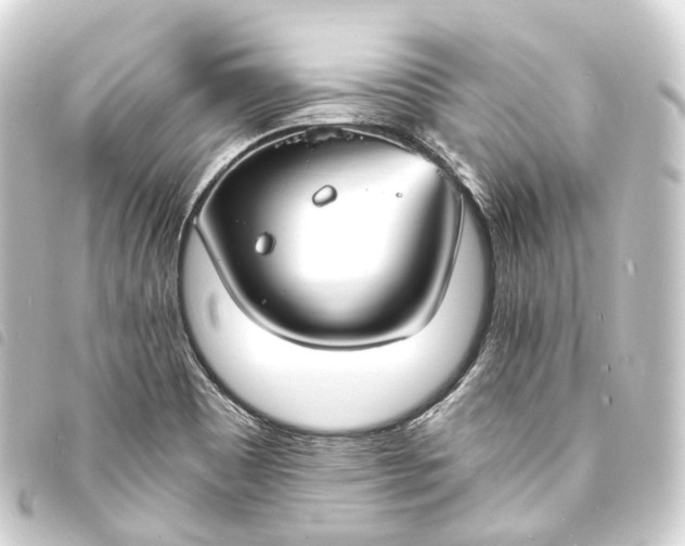 X0000093761465200710301134