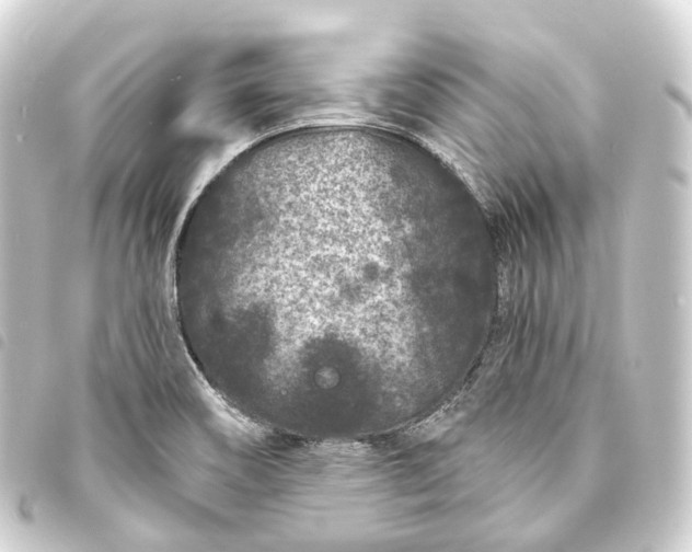 X0000093761466200710301134