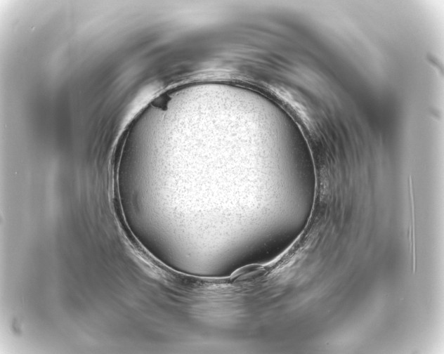 X0000093761467200710301134