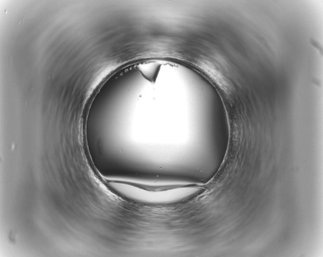 X0000093761468200710301134