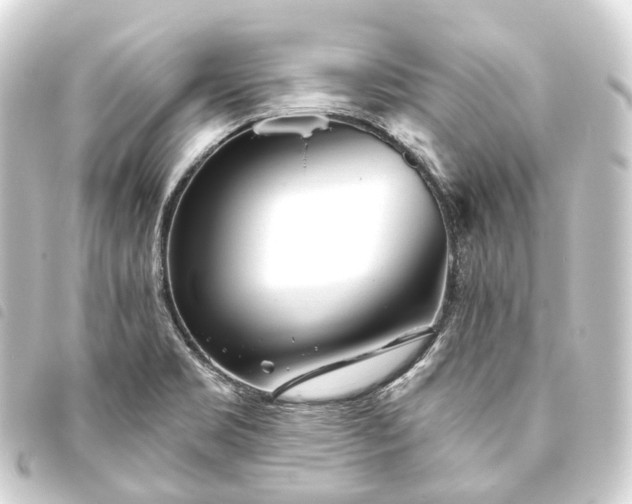 X0000093761469200710301134