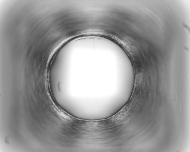 X0000093761470200710301134