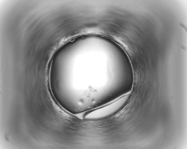 X0000093761471200710301134