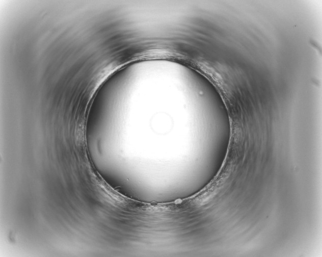 X0000093761473200710301134