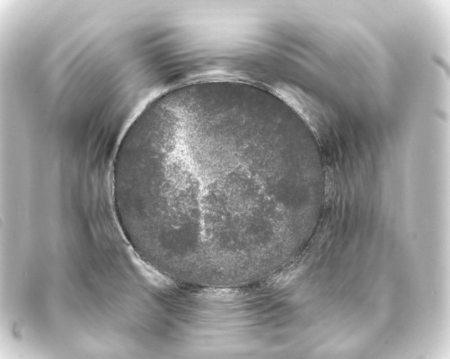 X0000093761474200710301134