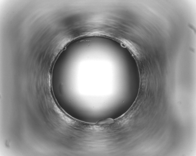 X0000093761476200710301134