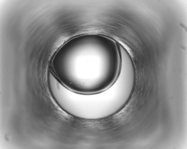 X0000093761477200710301134