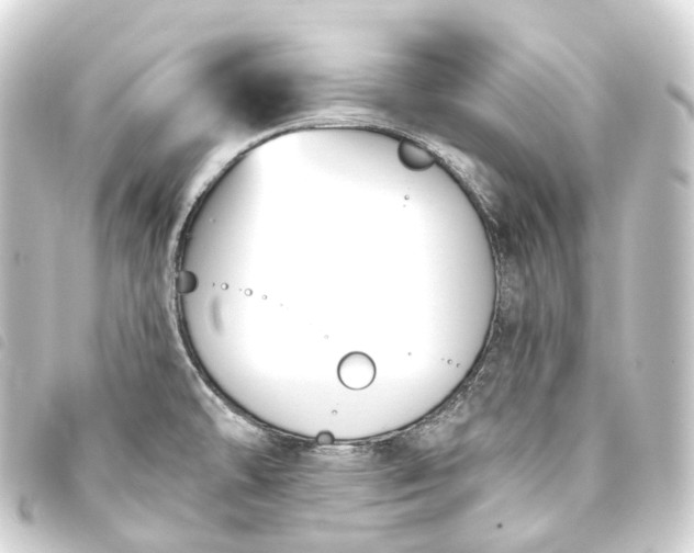 X0000093761478200710301134