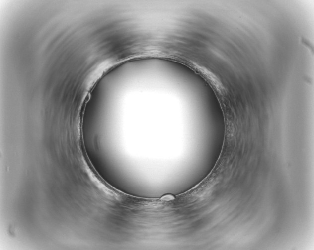 X0000093761479200710301134