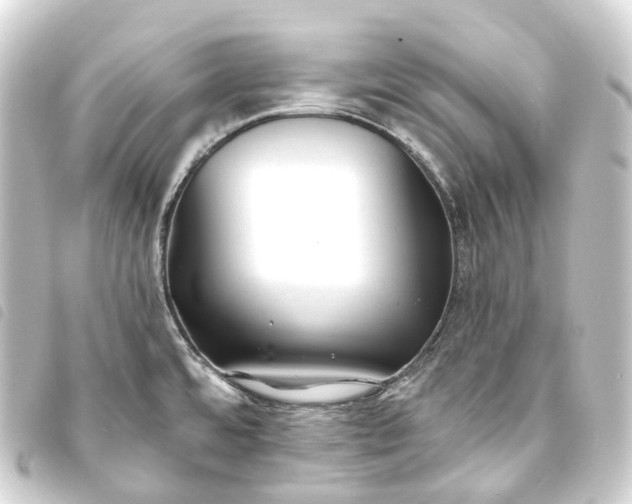 X0000093761480200710301134