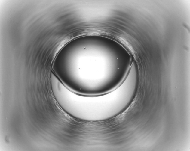 X0000093761481200710301134