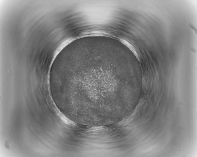 X0000093761482200710301134