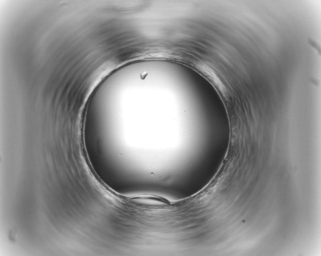 X0000093761483200710301134