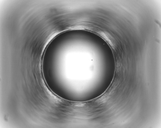 X0000093761484200710301134