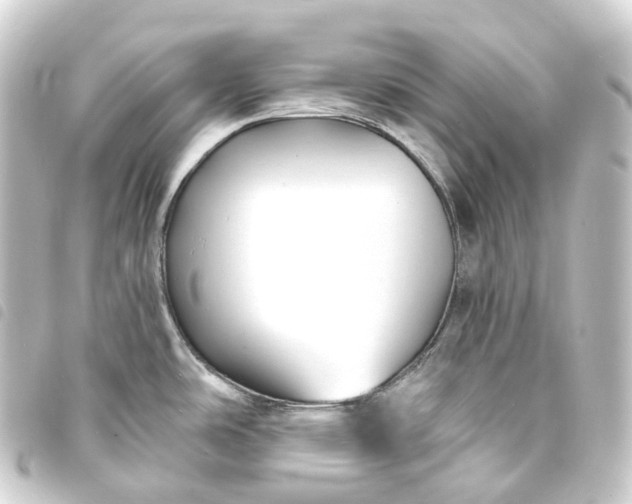 X0000093761486200710301134