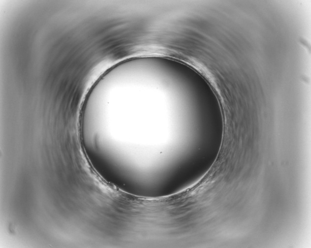 X0000093761488200710301134