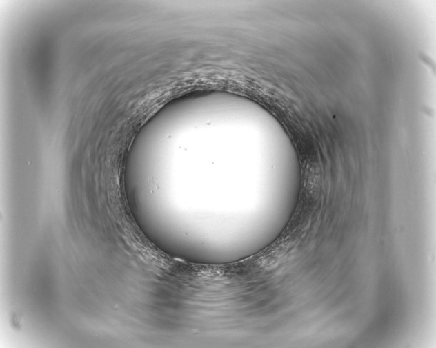 X0000093761489200710301134