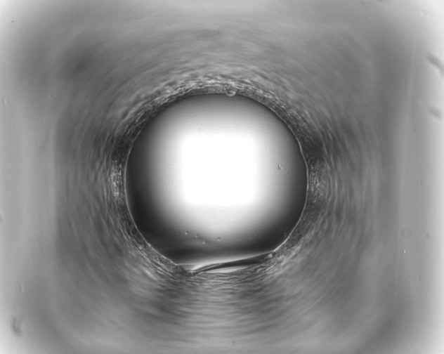 X0000093761490200710301134