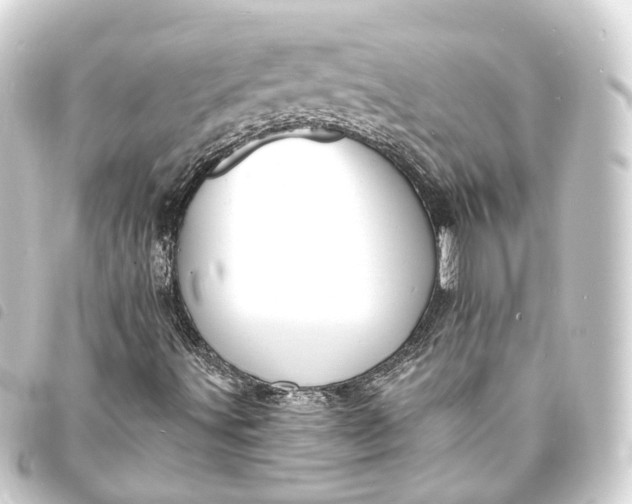 X0000093761491200710301134