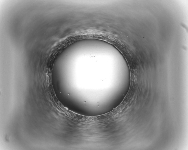 X0000093761493200710301134