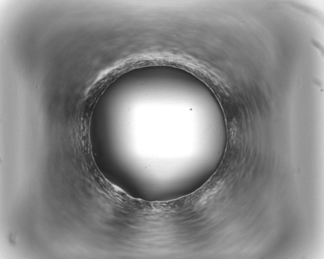 X0000093761494200710301134