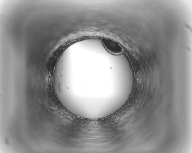 X0000093761495200710301134