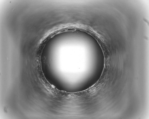 X0000093761496200710301134