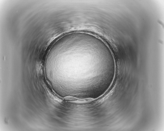 X0000093761497200710301134