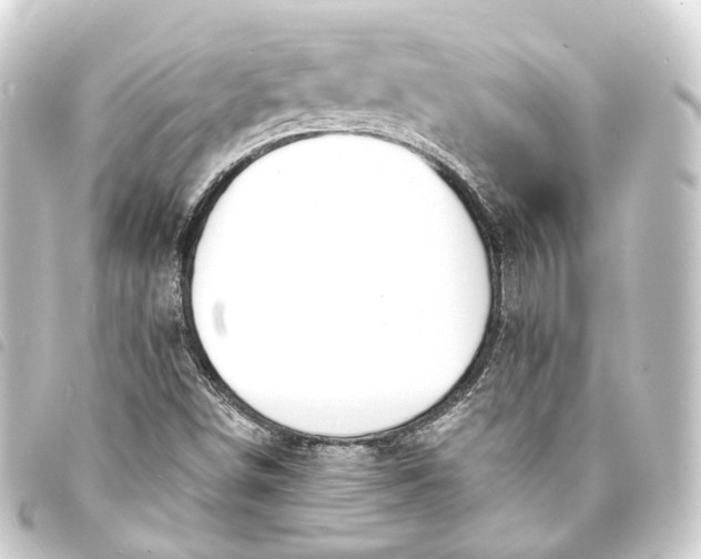 X0000093761498200710301134