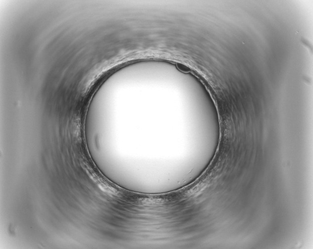 X0000093761499200710301134