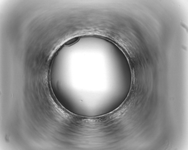 X0000093761500200710301134