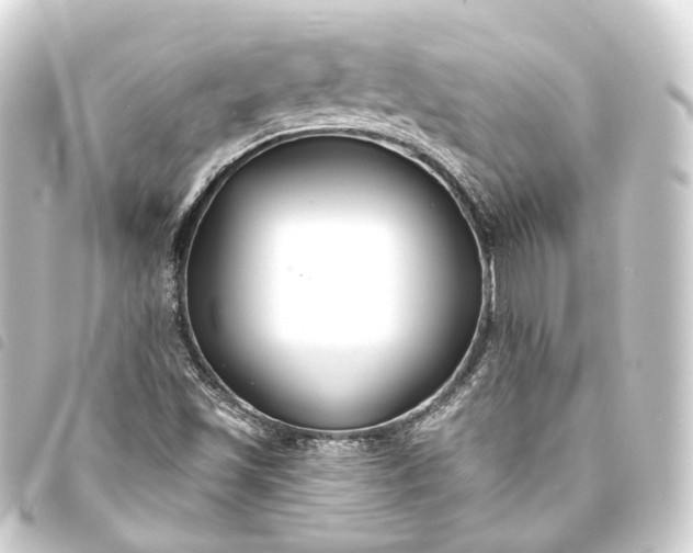 X0000093761501200710301134