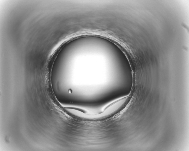 X0000093761502200710301134