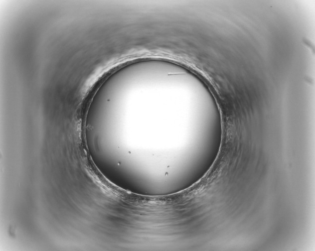 X0000093761503200710301134