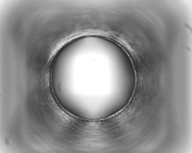 X0000093761504200710301134