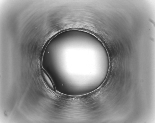 X0000093761505200710301134